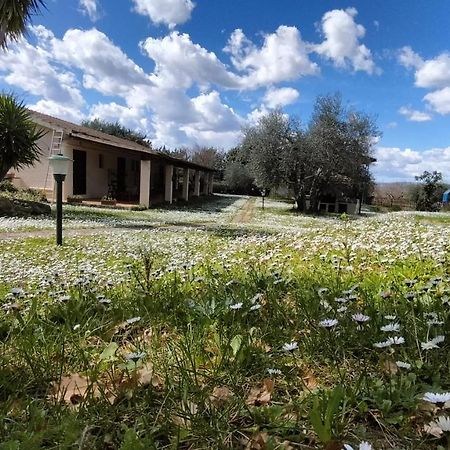 Agriturismo Bio Pian Dei Casali Saturnia Exterior photo
