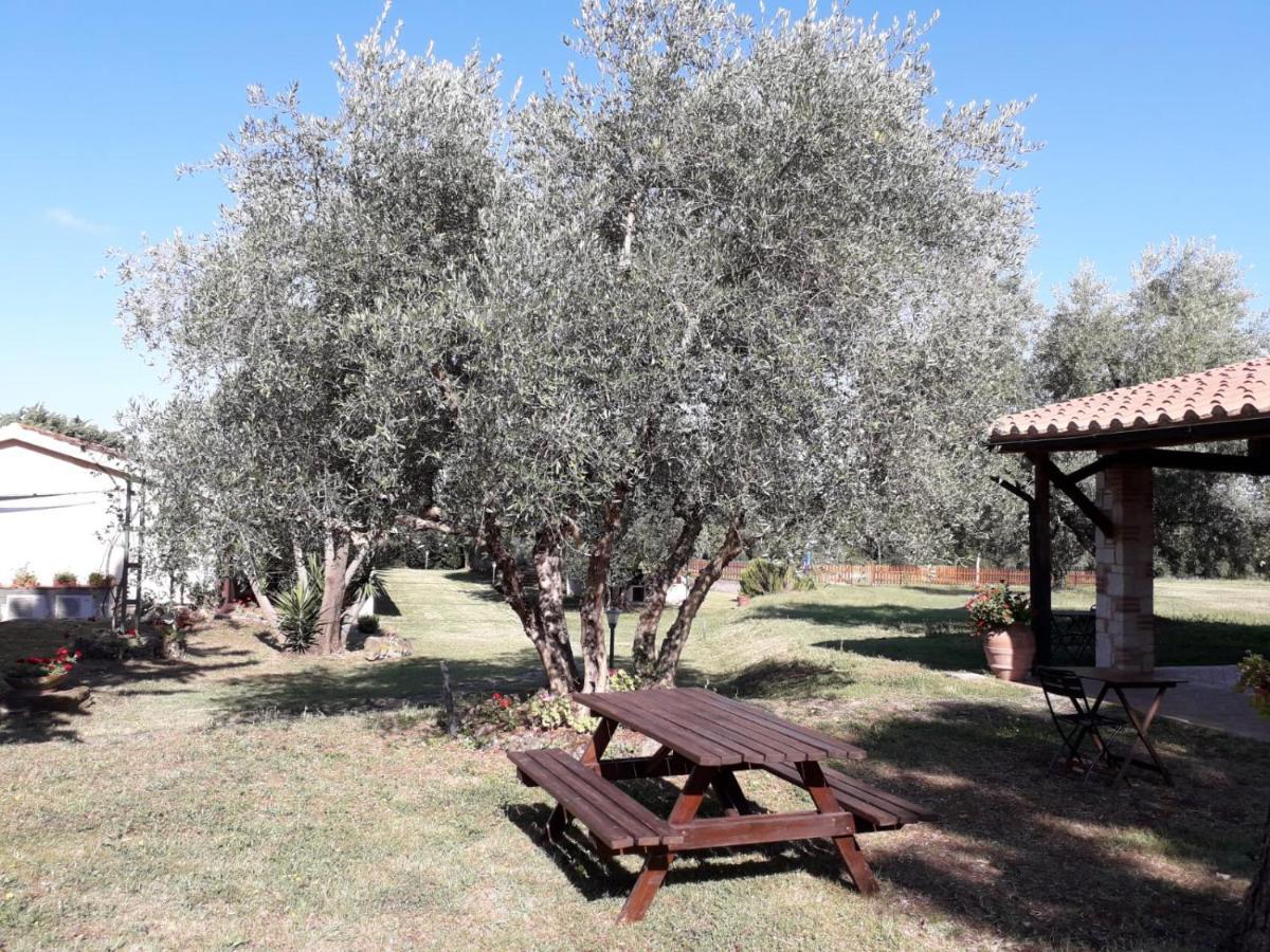 Agriturismo Bio Pian Dei Casali Saturnia Exterior photo