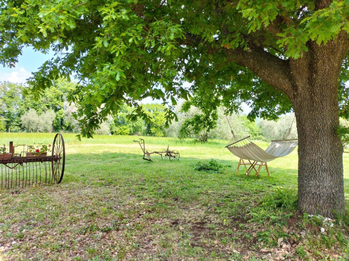 Agriturismo Bio Pian Dei Casali Saturnia Exterior photo