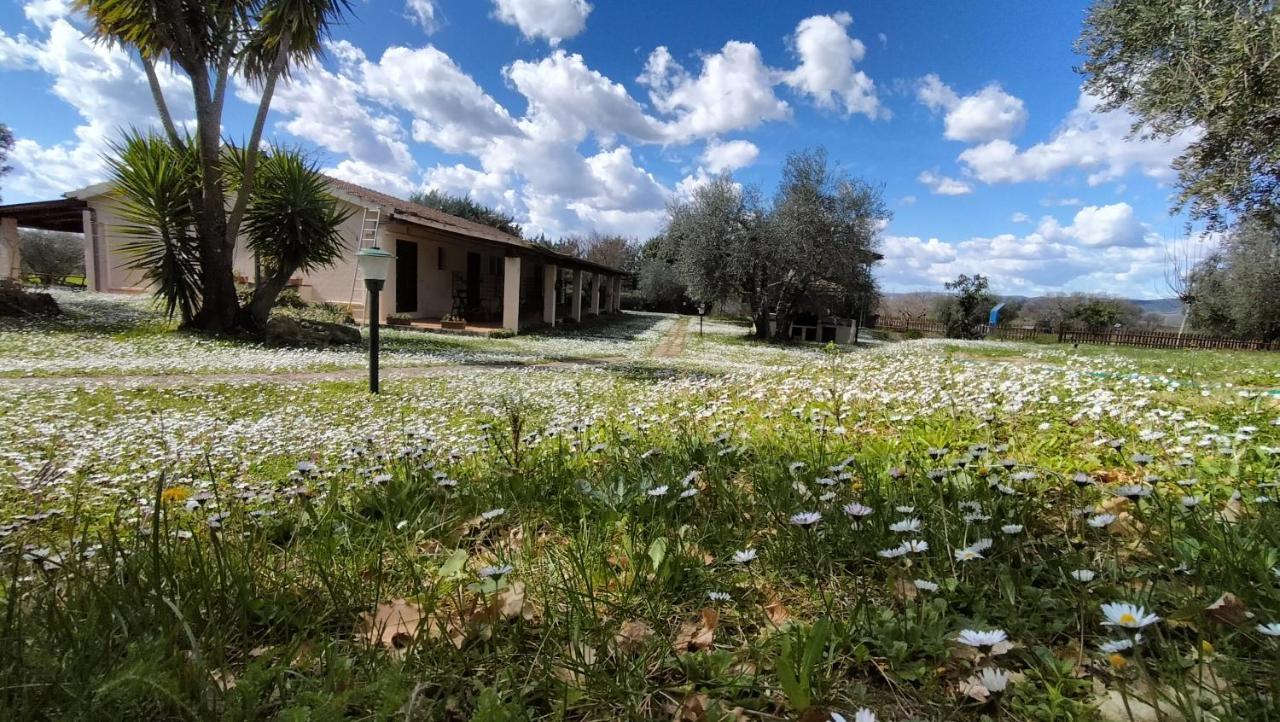 Agriturismo Bio Pian Dei Casali Saturnia Exterior photo