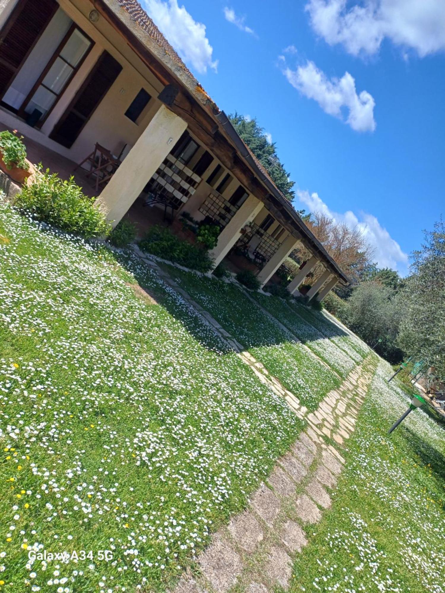 Agriturismo Bio Pian Dei Casali Saturnia Exterior photo