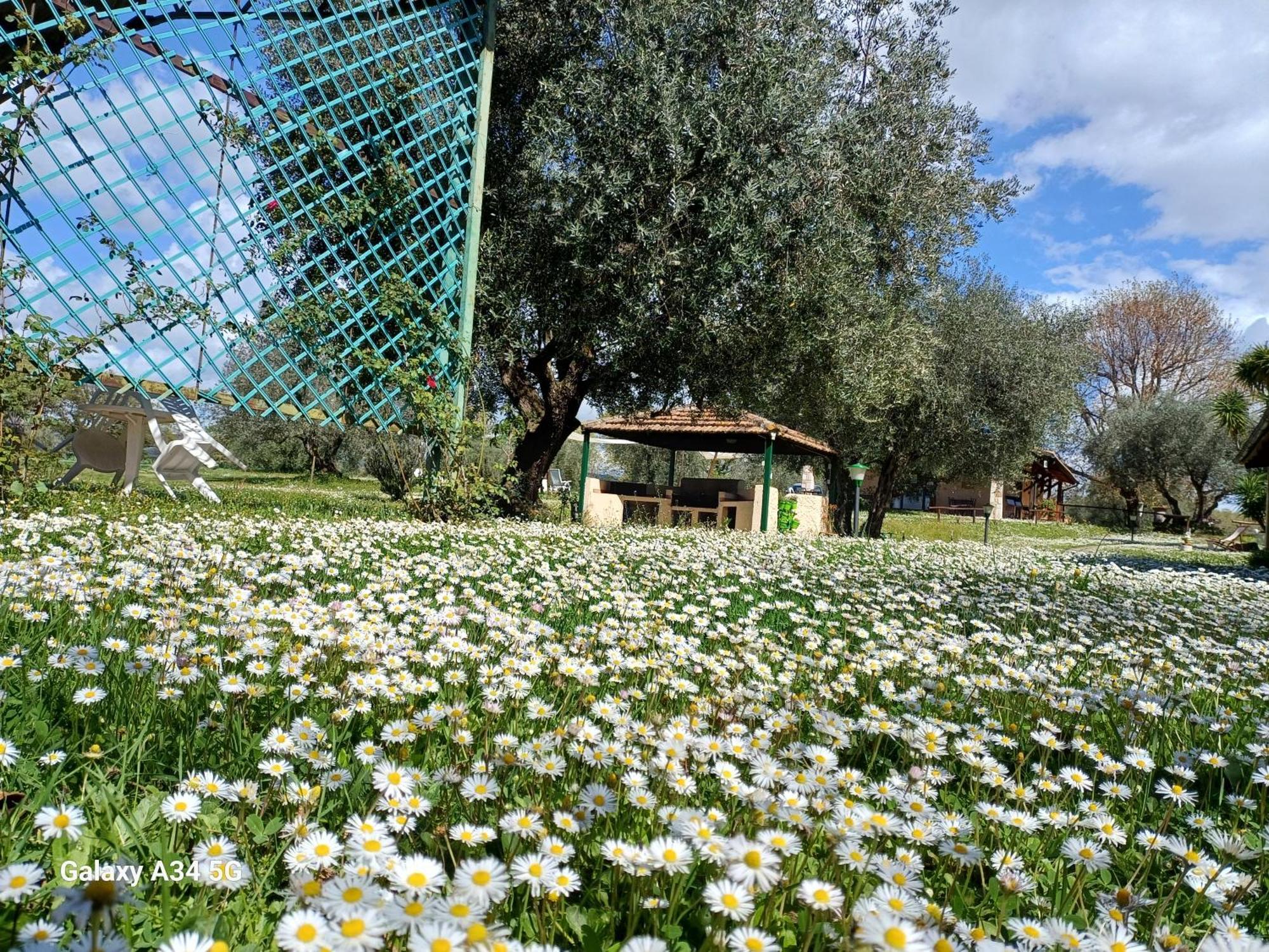 Agriturismo Bio Pian Dei Casali Saturnia Exterior photo