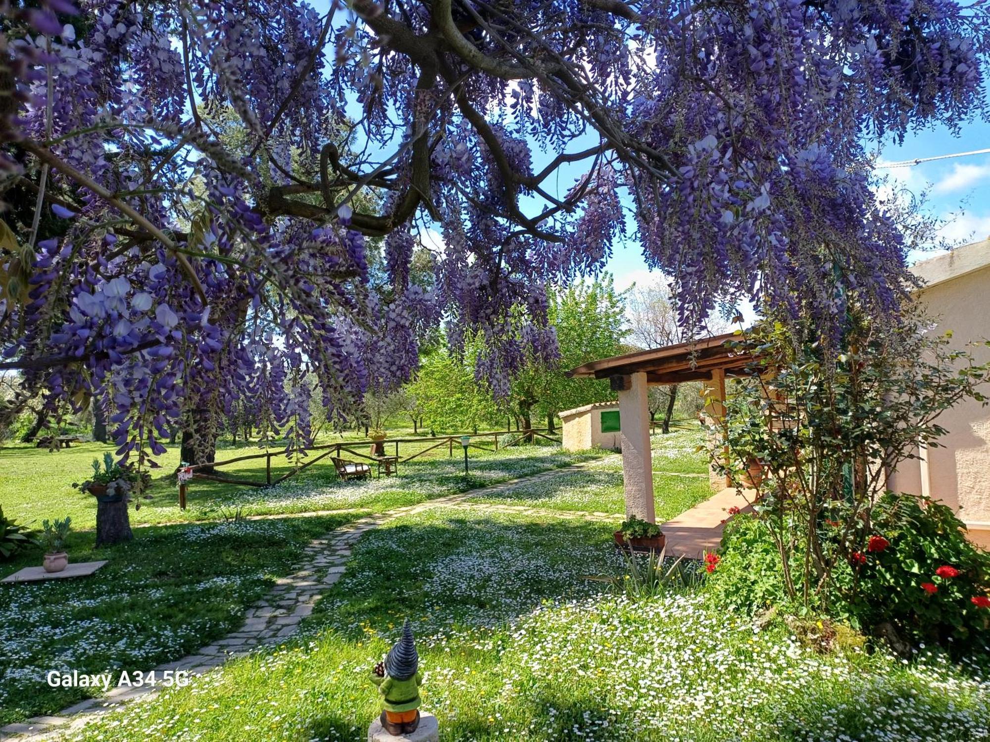 Agriturismo Bio Pian Dei Casali Saturnia Exterior photo