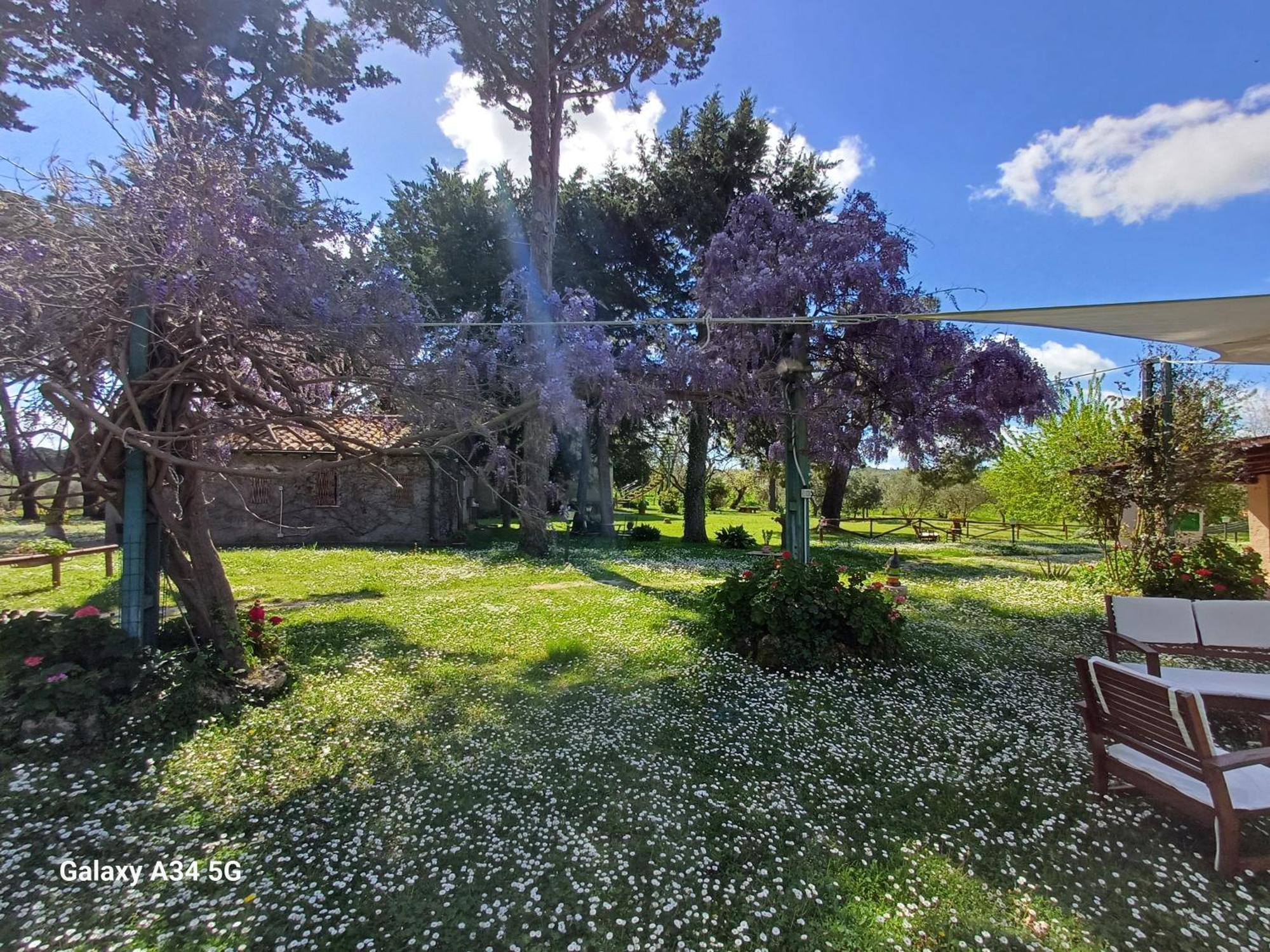 Agriturismo Bio Pian Dei Casali Saturnia Exterior photo